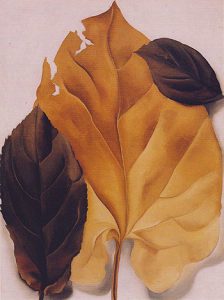O'Keefe brown and tan leaves